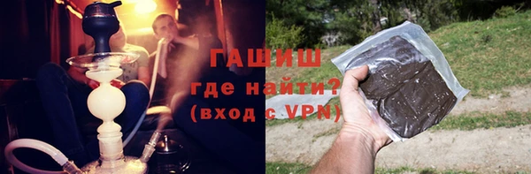 индика Алексин