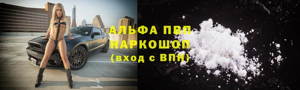 индика Алексин