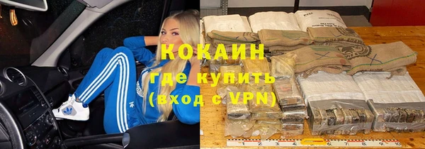 индика Алексин