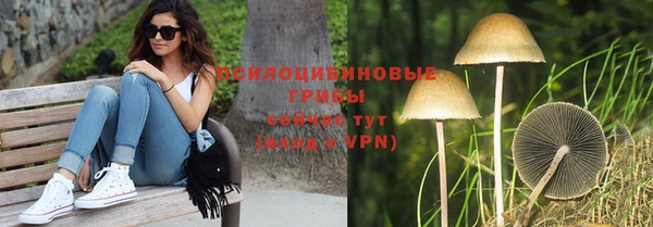 индика Алексеевка