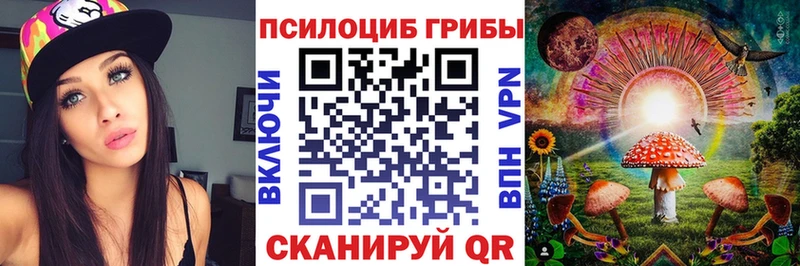 Псилоцибиновые грибы Cubensis  Переславль-Залесский 